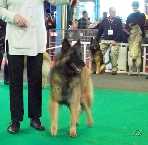 n°98 Gaia of the smart spirit 5448.JPG